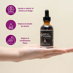 GetMe by Ola - Extracto de Tres Maestros: Cordyceps, Reishi y Melena de León 50 ml Real Fungi